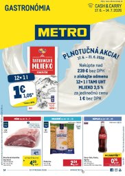 METRO leták  s platnosťou 17. 6. - 14. 7. 2026 Gastronómia
